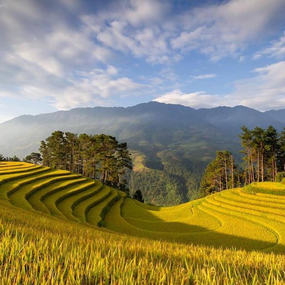ホテル Khach San Sapa Ngay Nay エクステリア 写真