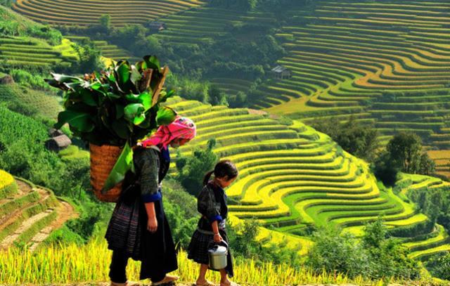 ホテル Khach San Sapa Ngay Nay エクステリア 写真